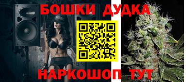 крисы Тверь